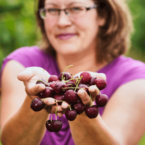 Kirsten Werner hält frische Kirschen in den Händen – Obsthof Werner Ingelheim