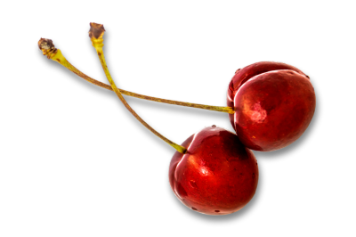 Zwei frische, rote Kirschen aus dem Obsthof Werner in Ingelheim-Heidesheim, freigestellt
